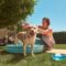 Keep your dog cool in summer heatwave