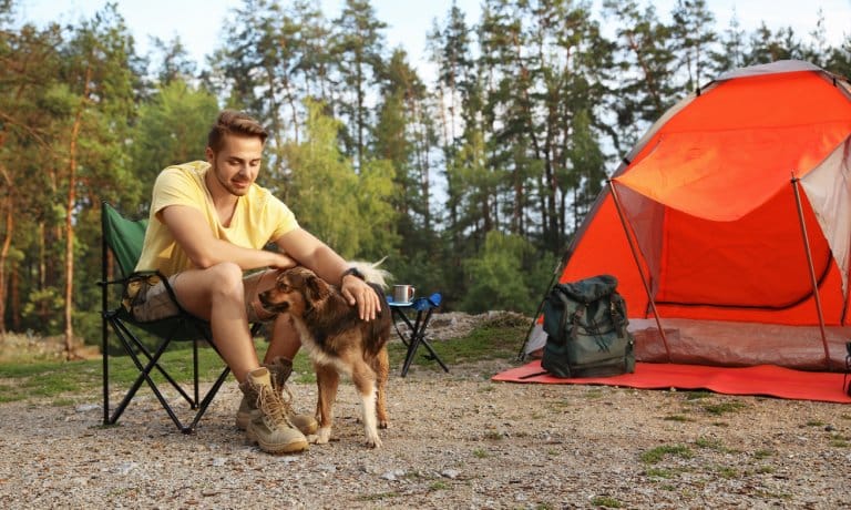 A man sits in a camping chair and pets a dog next to an orange tent set up in a large forest clearing.