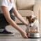 A woman places a metal dish of food in front of her white and brown dog. The two are in a home's living room.