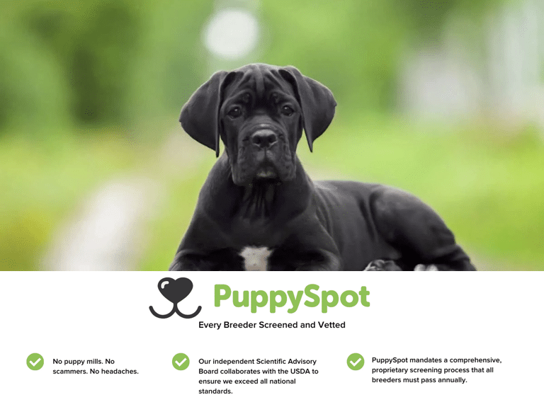 Puppy Spot