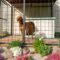 A brown dog standing in an outdoor kennel. There is a dog house inside the kennel and lots of flowers and rocks outside of it.