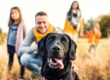 A dog up-close sitting with its tongue hanging out of its mouth. The dog's family is behind it in a blurred view.