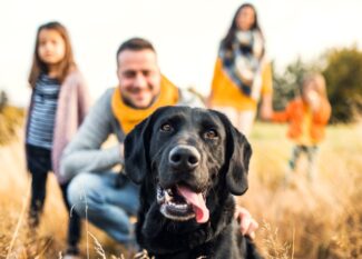 A dog up-close sitting with its tongue hanging out of its mouth. The dog's family is behind it in a blurred view.