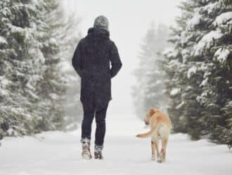 A person in a winter coat walking on a snowy trail with their dog next to them. Around them, trees are covered in snow.