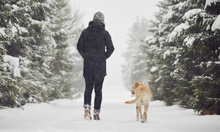 A person in a winter coat walking on a snowy trail with their dog next to them. Around them, trees are covered in snow.