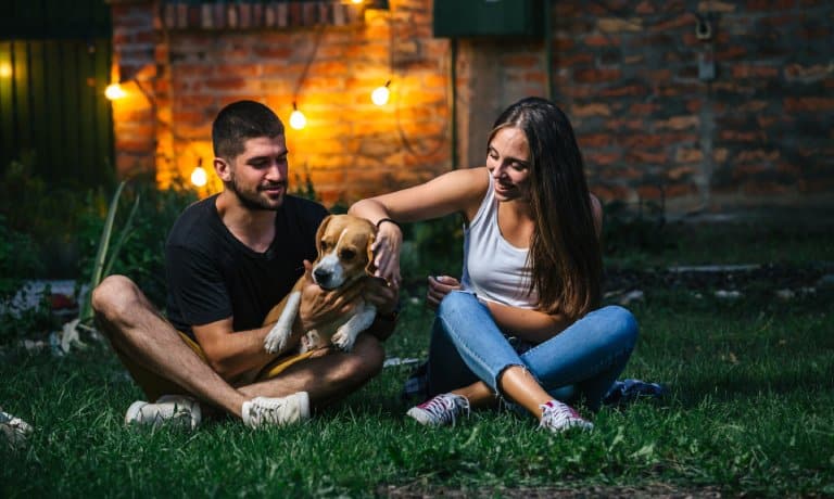 A couple plays with their dog in their backyard at night. String lights hang along the brick wall behind them.