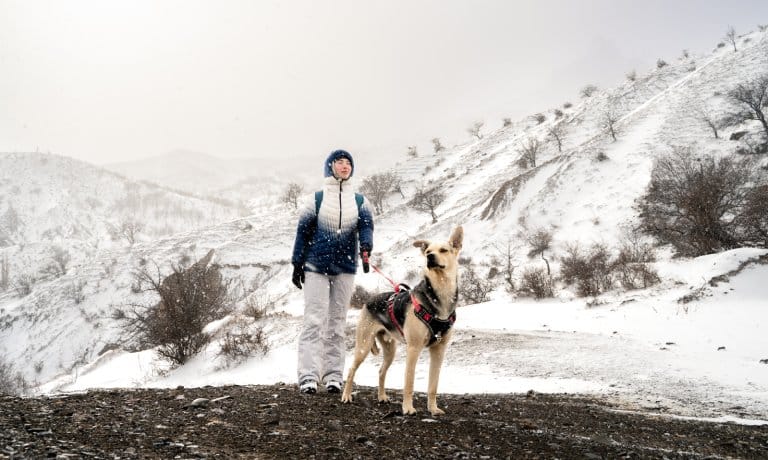 A woman holds her dog on a leash attached to a harness. There are hills covered in snow in the background.