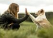Woman with long hair crouches on grass giving a high five to a fluffy white and tan dog outdoors on a cloudy day.