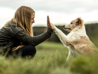 Woman with long hair crouches on grass giving a high five to a fluffy white and tan dog outdoors on a cloudy day.