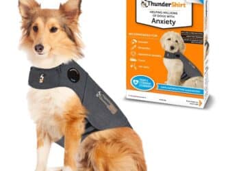 thundershirt review
