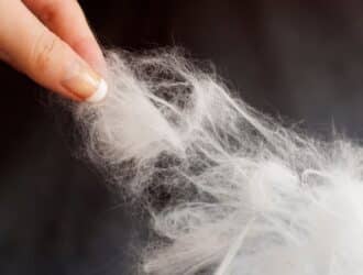 A manicured hand with long nails pulling at a tuft of thick white pet fur against a dark background.