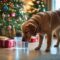Is Christmas tree water toxic to dogs