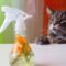 A gray tabby cat with green eyes leans on a white surface containing a bottle full of pet-friendly cleaning solution.