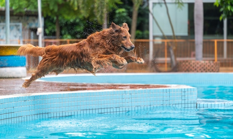 riverbendsandlerpools 444454 pool water body image2