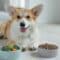 A happy Corgi lies on a wooden floor between two bowls: one with veggies and one with kibble, showcasing pet nutrition.
