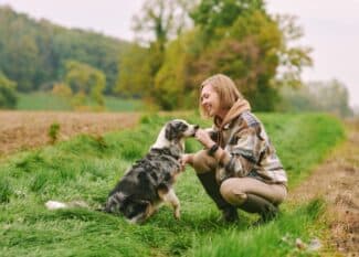 In a green field, a woman kneels beside a harnessed dog, hand raised to its nose near quiet autumn trees.