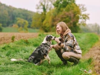 In a green field, a woman kneels beside a harnessed dog, hand raised to its nose near quiet autumn trees.
