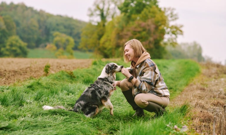 In a green field, a woman kneels beside a harnessed dog, hand raised to its nose near quiet autumn trees.