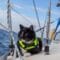 A black and white cat in a neon yellow life jacket lounges on the deck of a sailboat at sea.
