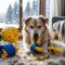 Indestructible_toys_for_bored_dogs