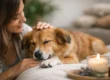 How to Calm Dog Anxiety Naturally