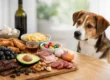 12 Foods Dogs Should Never Eat